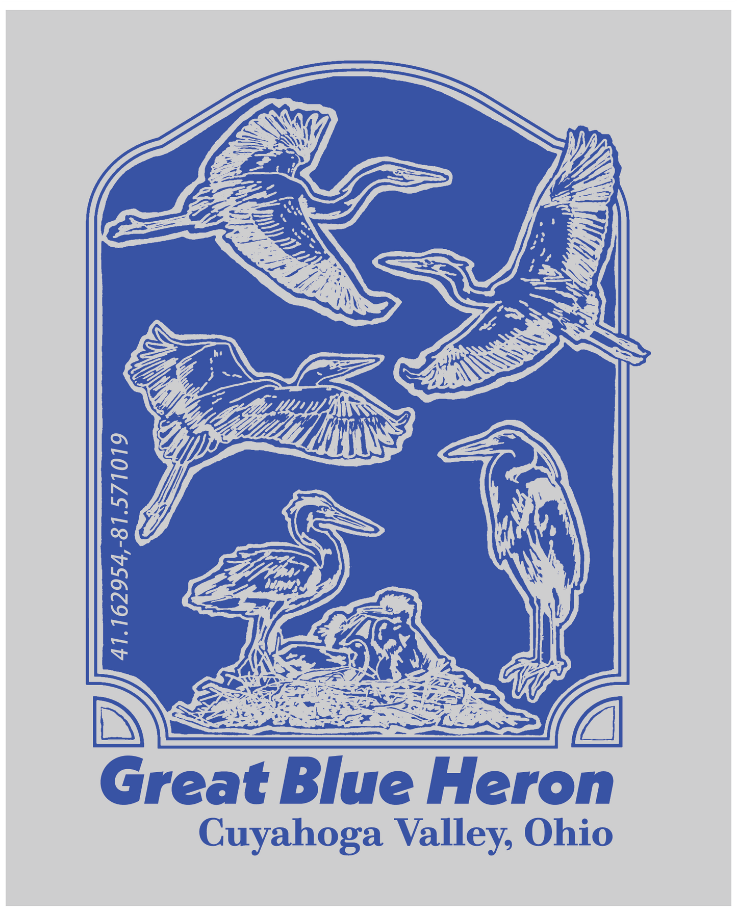 Great Blue Heron