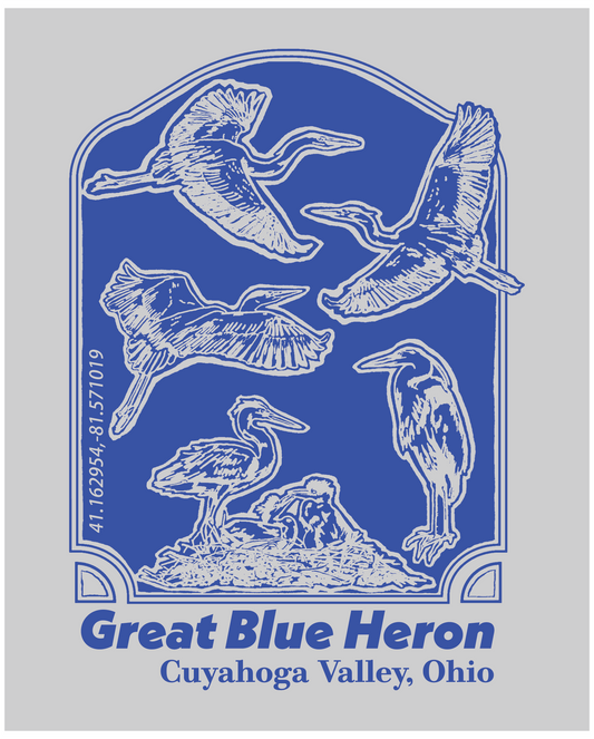 Great Blue Heron