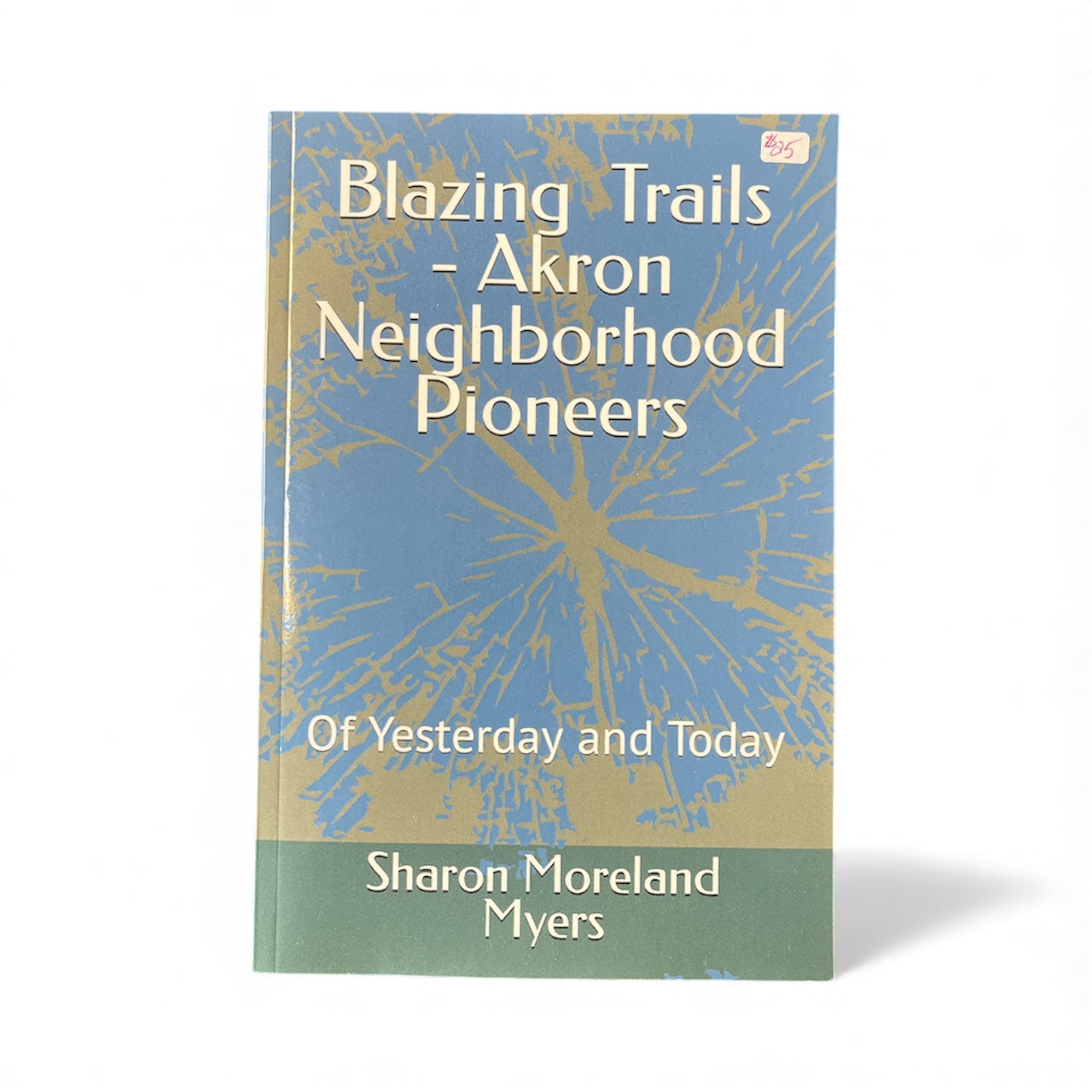 Blazing Trails - Akron Neighborhood Pioneers Book